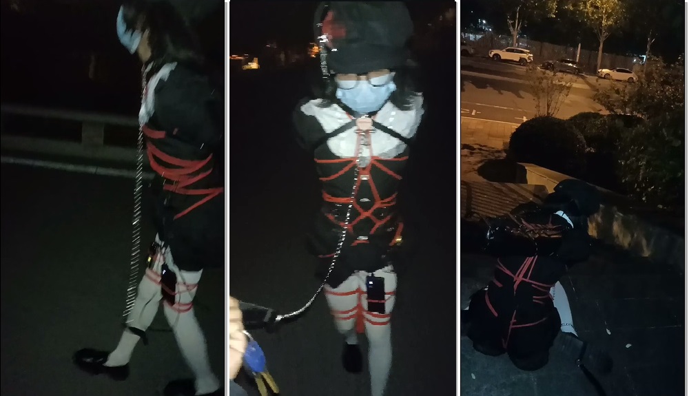 【小自白】凌晨了，去河堤上走走-视频-5元站