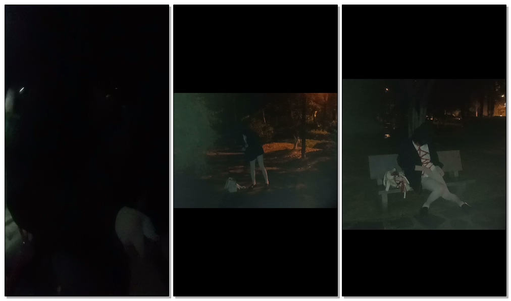【小自白】露出过马路在小公园里走走-视频-5元站