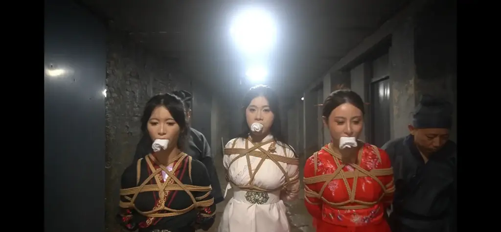 图片[2]-【一绳有你】《女神捕之千金蒙冤案》第一集-视频-5元站