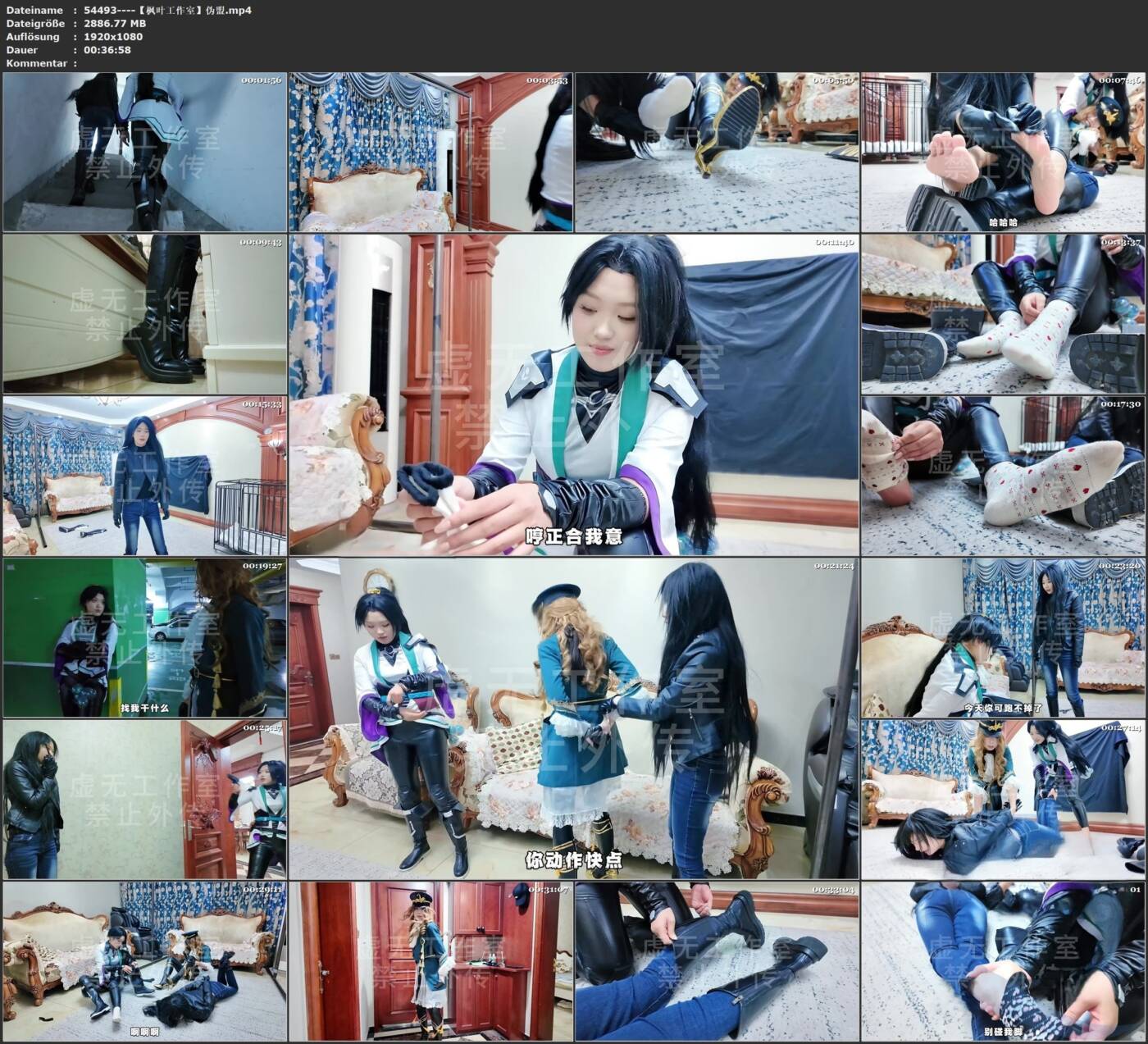 图片[3]-【枫叶工作室】伪盟-视频-5元站