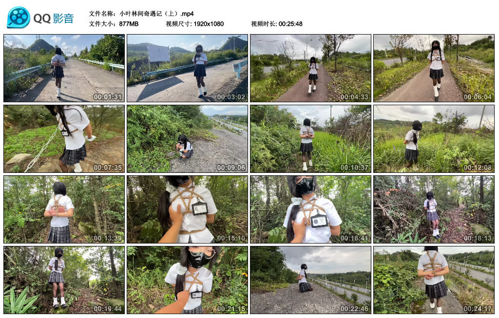 图片[2]-【桃花岛】小叶林间奇遇记（上）-视频-5元站