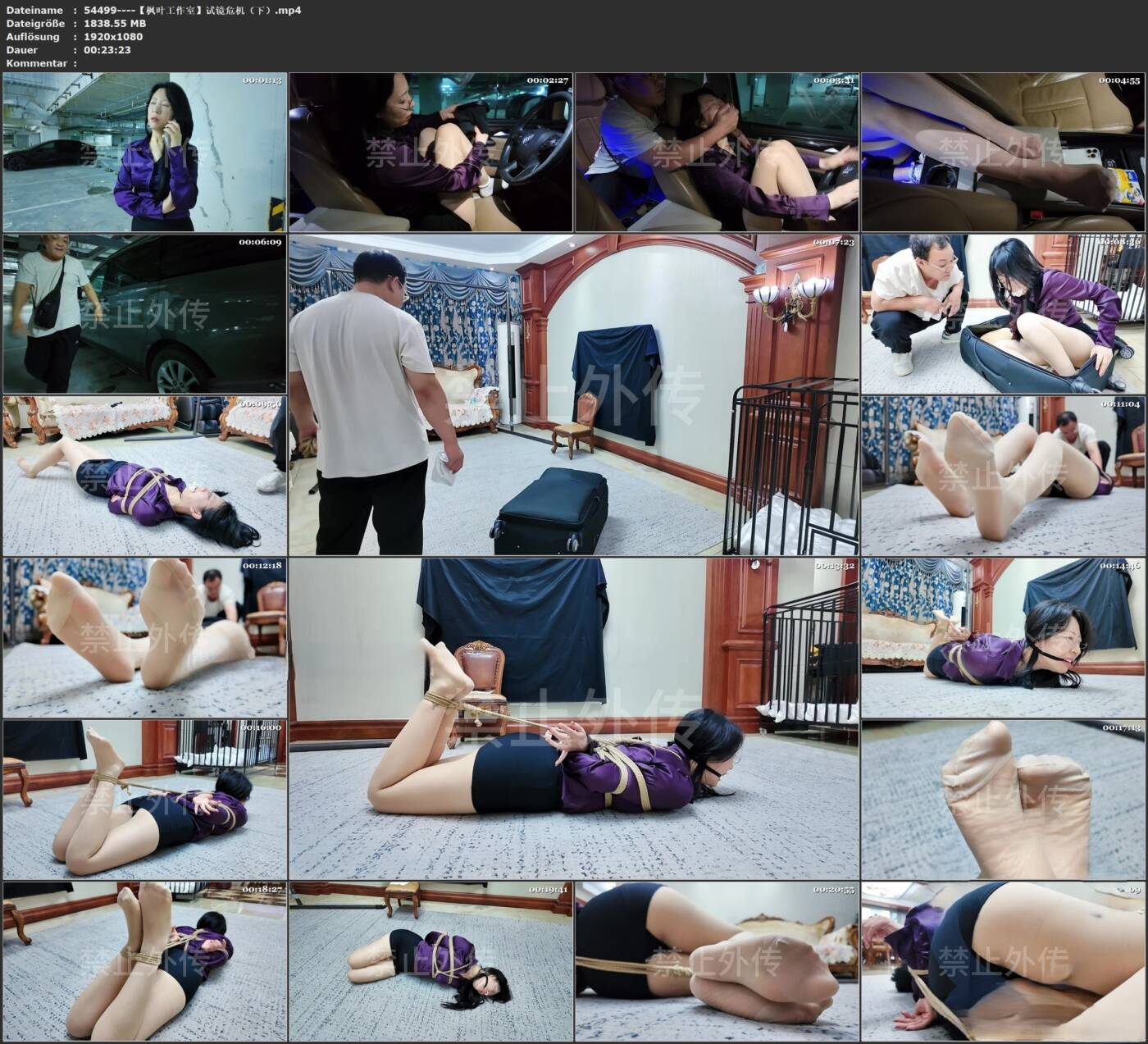 图片[2]-【枫叶工作室】试镜危机（下）-视频-5元站