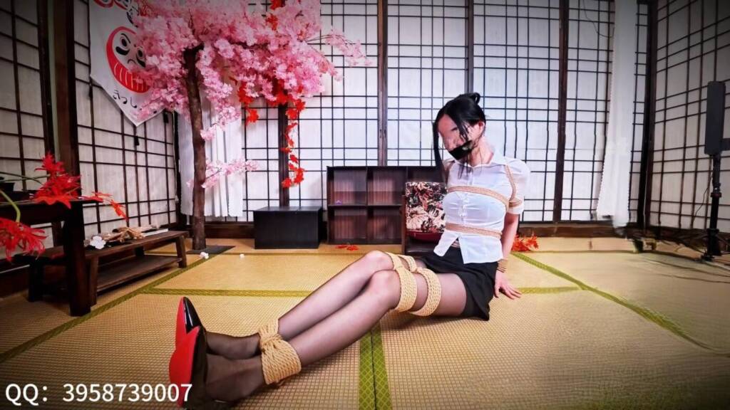【哈莉奎因】第九十四部定拍集锦-封口缚-视频-5元站
