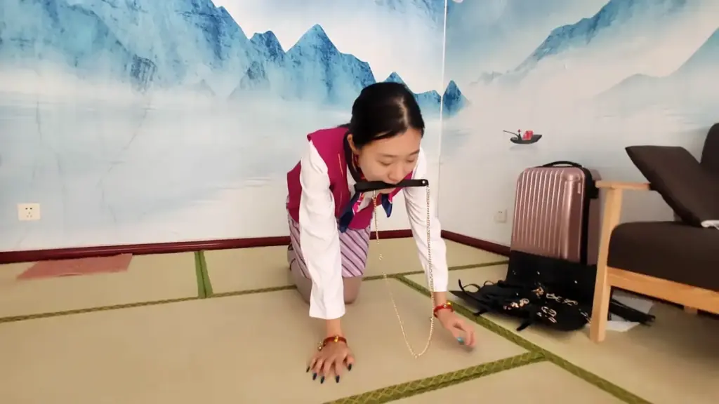 图片[2]-【秦韵绳屋】空姐思思的秘密-视频-5元站