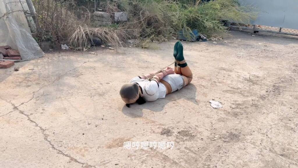 【媚娘工作室】狗奴驯养持久战-视频-5元站