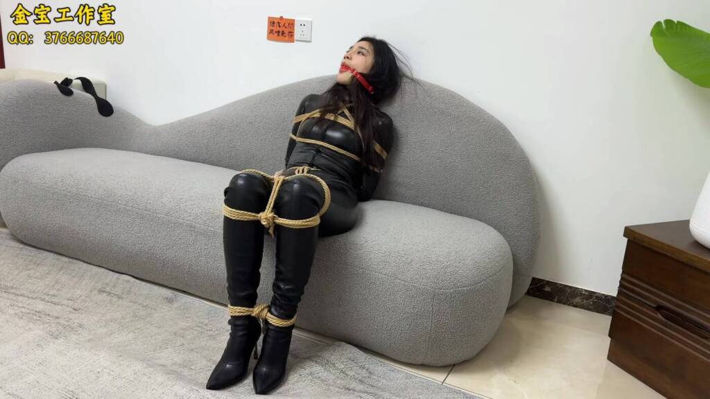 图片[2]-【金宝工作室】《女贼历险记》全集-视频-5元站