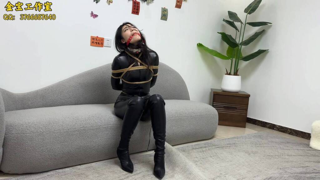 【金宝工作室】《女贼历险记》全集-视频-5元站