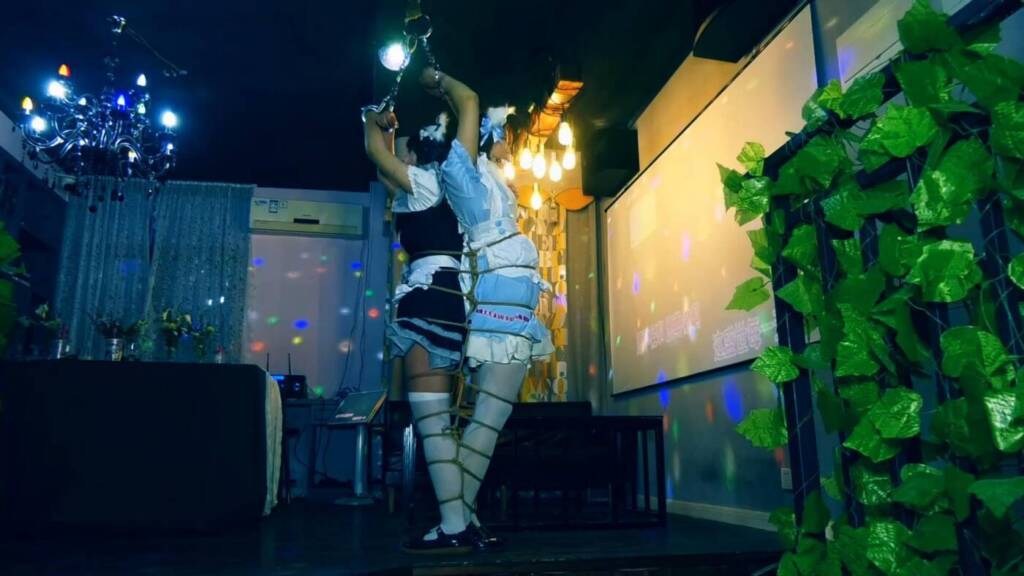 图片[2]-【胜景影视】两个站不稳的女仆-视频-5元站
