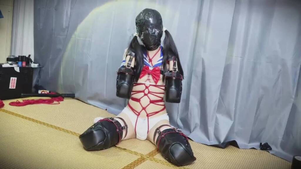 【不比等】犬奴三叶的训练成果展示：透明体操服K9拘束/丝袜堵嘴/爬行训练/扇耳光惩戒/感官剥夺/胶带包头窒息-视频-5元站