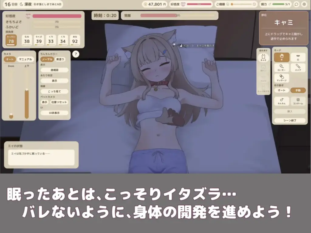 图片[4]-[SLG/PC/安卓/中文] 与咪衣酱的亲密互动 ふれあいミイちゃん v1.0.3-游戏-5元站