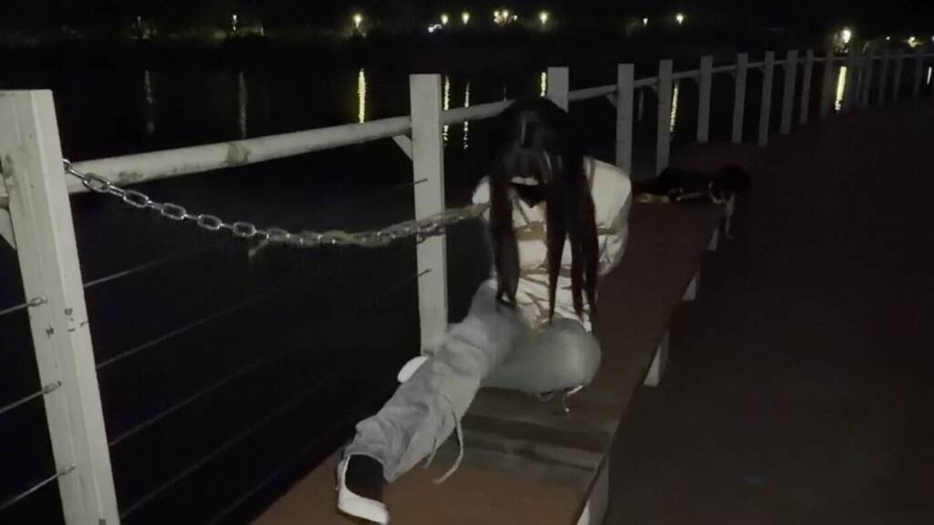 图片[2]-【桃花岛】公园游行记-视频-5元站
