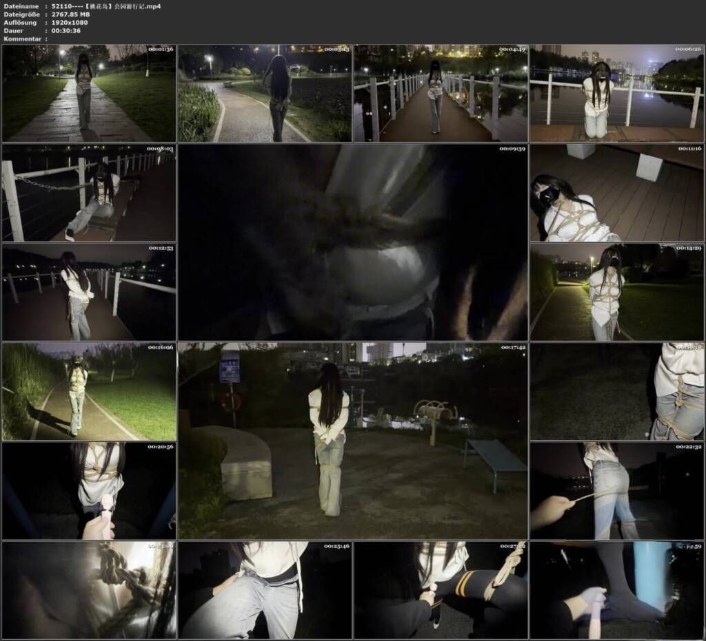 图片[3]-【桃花岛】公园游行记-视频-5元站