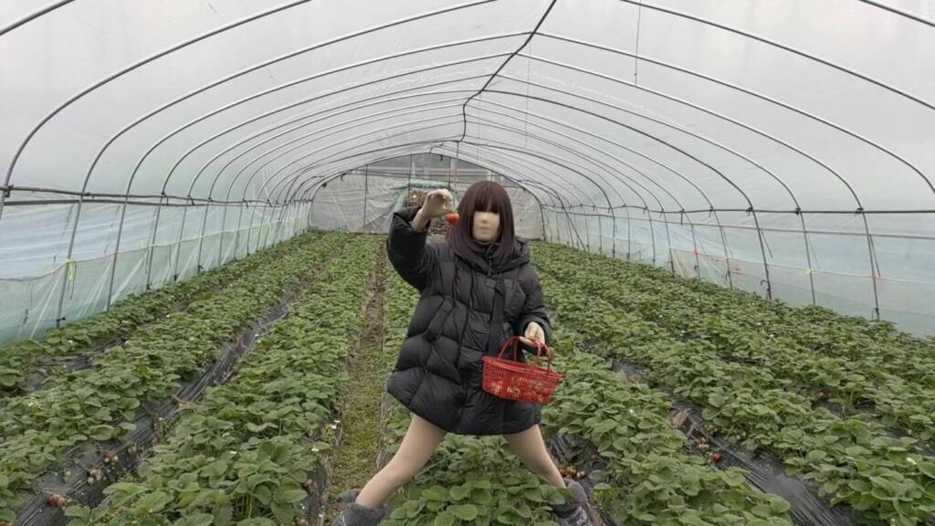 【FXX】草莓熟咯，最快乐的事情就是穿上全包去做喜欢的事情 朦朦胧胧的出现在别人的视线里，既害怕紧张 又能满足内心的小需求-视频-5元站