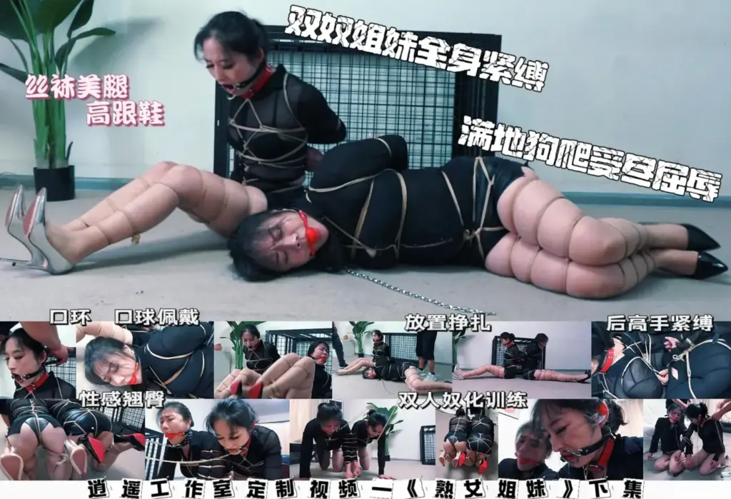 【逍遥】盲盒系列《SHU女姐妹②》-视频-5元站