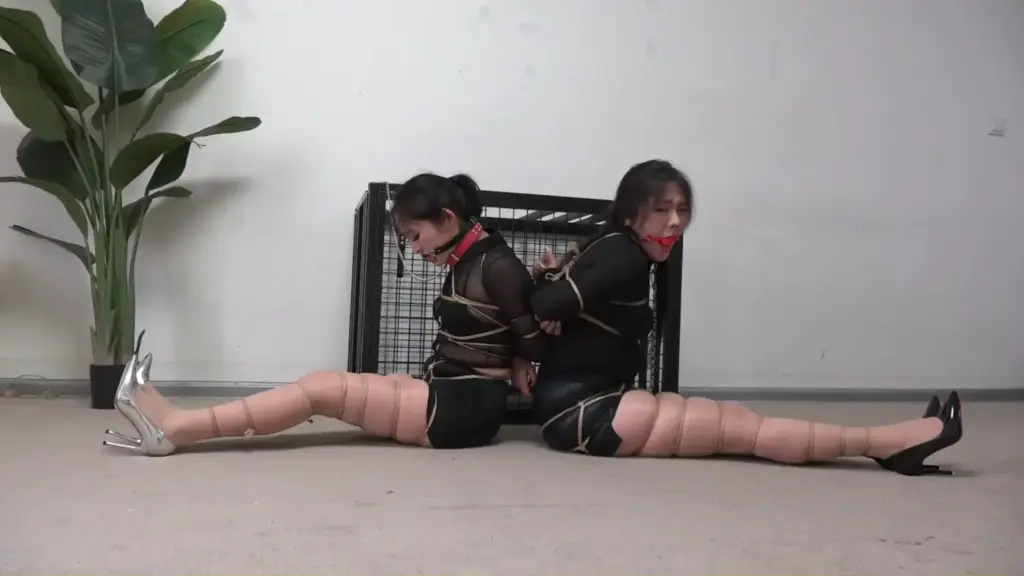 图片[2]-【逍遥】盲盒系列《SHU女姐妹②》-视频-5元站