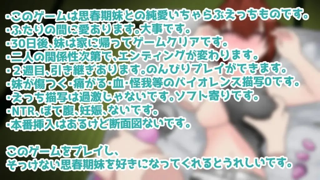 图片[10]-[SLG/PC/AI汉化] 与思春期妹妹共度的亲密30天 思春期妹とえっちな30日間-游戏-5元站