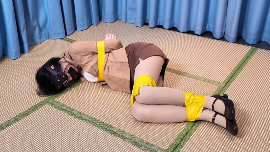 【栀晓】名侦探柯南，天气小姐绑架案-视频-5元站