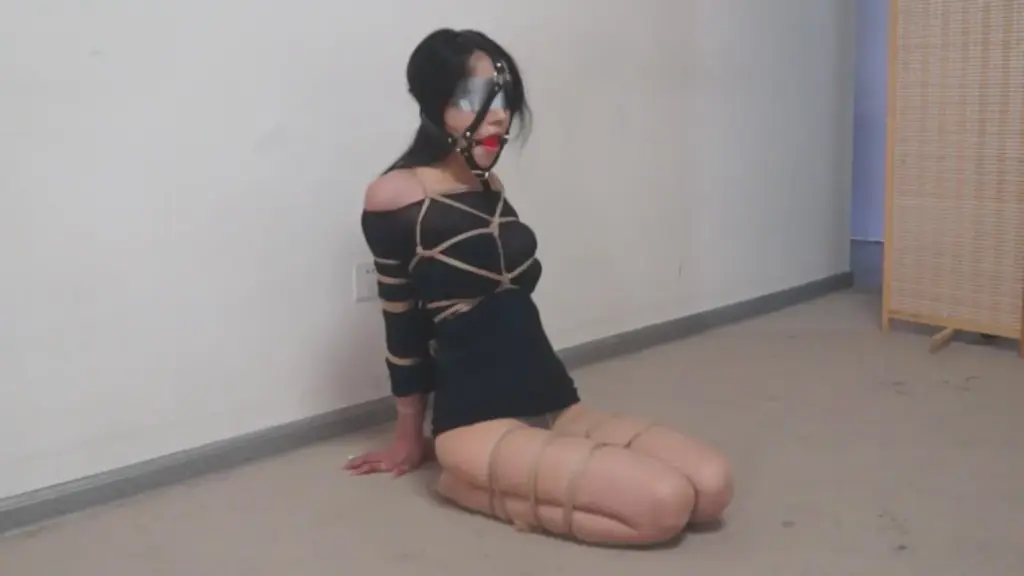 【逍遥】《失眠之夜之噩梦劫持下集》-视频-5元站