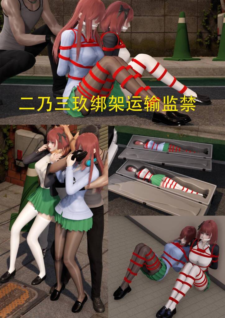 二乃三玖绑架运输监禁-5元站