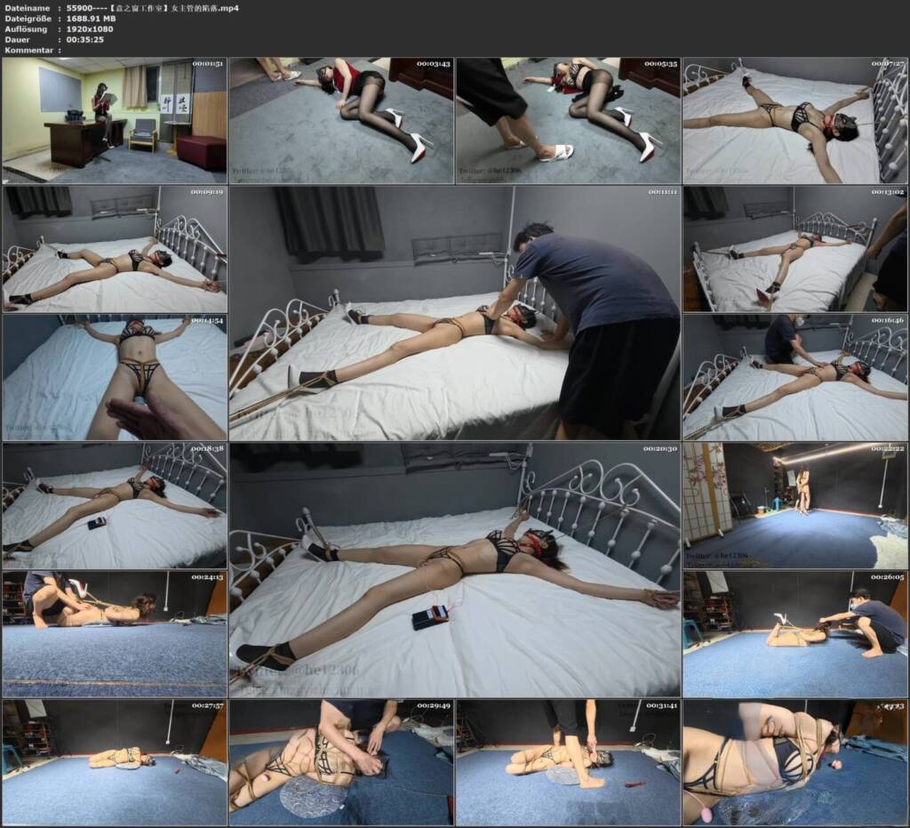 图片[2]-【意之窗工作室】女主管的陷落-视频-5元站