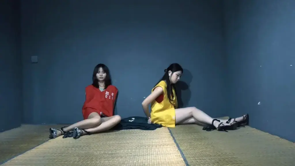 【胜景影视】《正邪囚局》下集 女毒贩因贩卖毒品数额巨大且背负多条命案被判死刑砸死镣野外执行枪决-视频-5元站