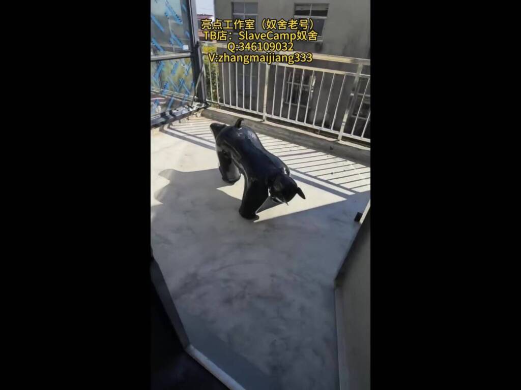【亮点工作室】女媚郁郁穿硅胶K9连体服接受调教-视频-5元站
