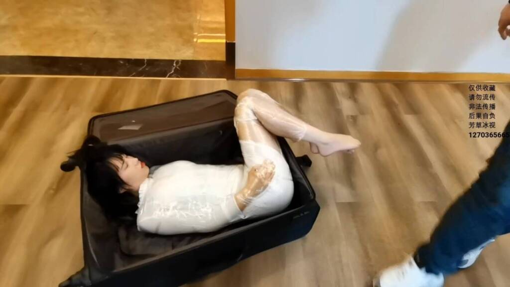图片[2]-【芳草工作室】绝妙的服务 -视频-5元站