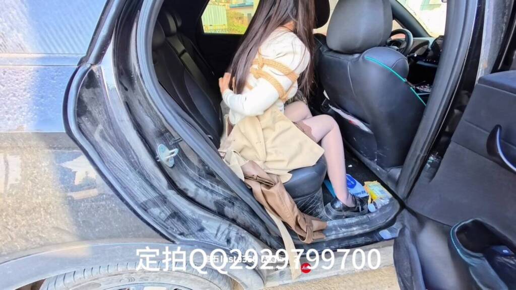 【王宁】户外捆绑口球-视频-5元站